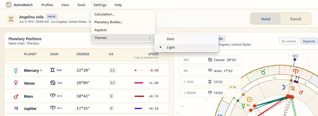 The Settings menu open with the Themes submenu expanded, showing Dark and Light radio options with Light currently selected.